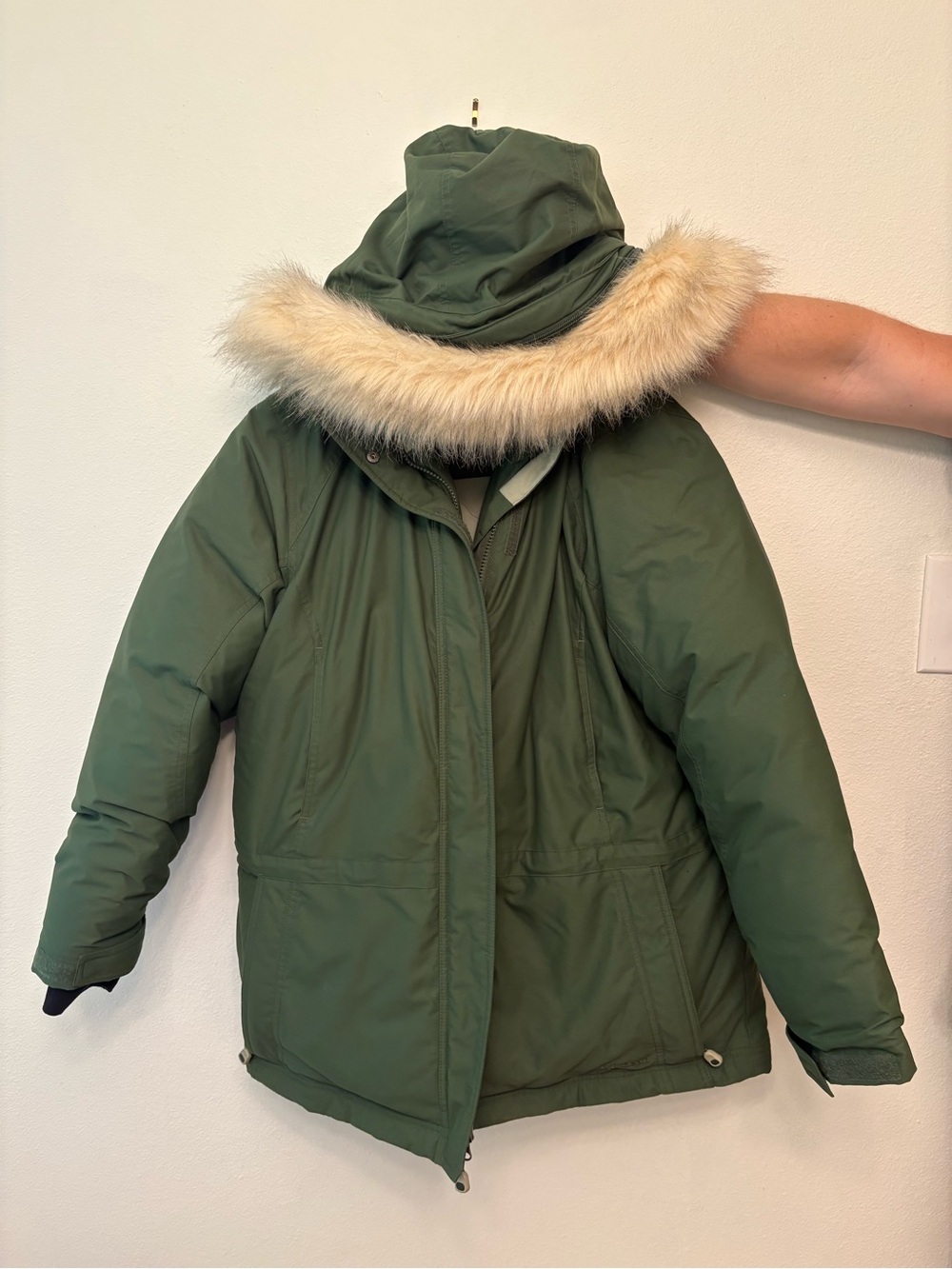 L.L. Bean Olive Green Insulated Puffer Jacket with Cream Hood Lining - Picture 2 of 7